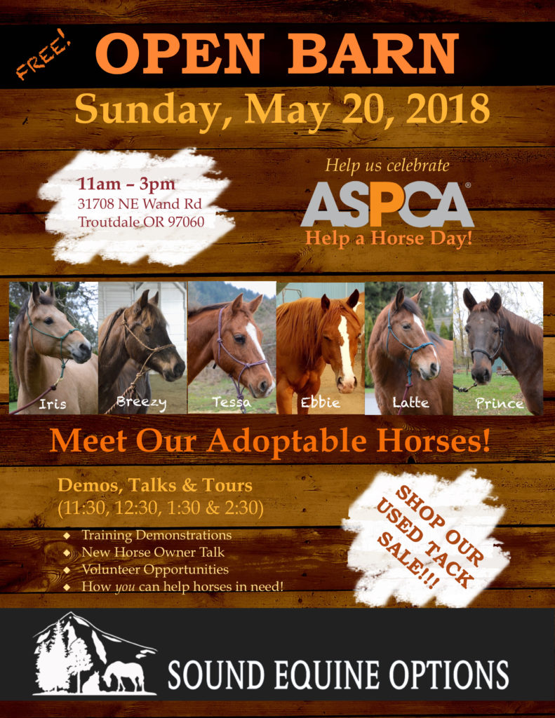 Help A Horse Day – April 26, 2018 - Spherical Innovations