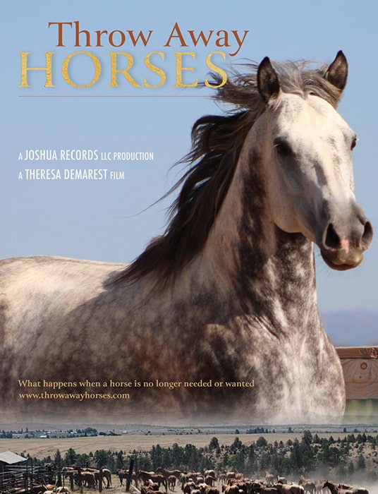 Throw Away Horses